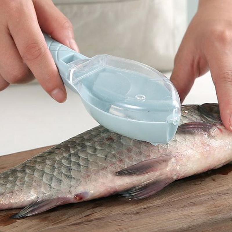Fish Scraper