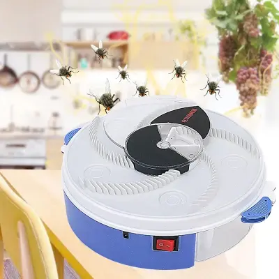 Fly Catcher